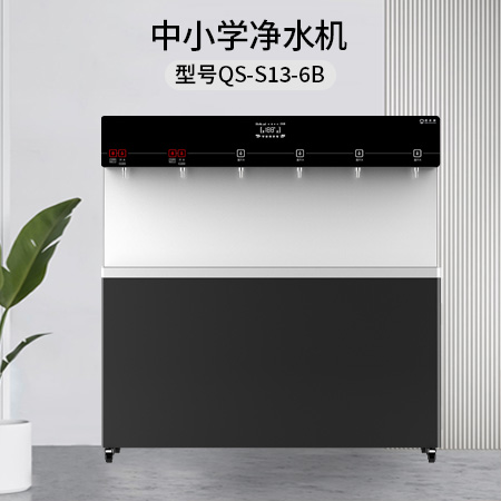 清水源 中小学净水机 QS-S13-6B