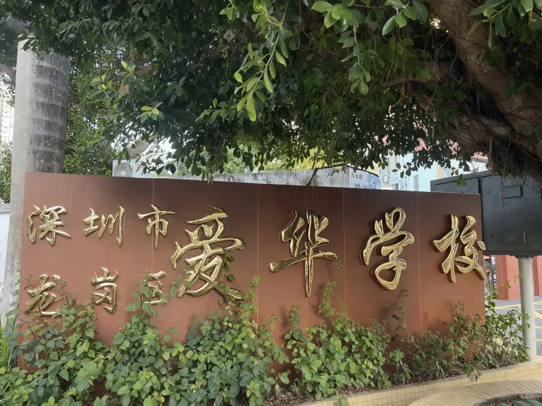深圳市龙岗区爱华学校